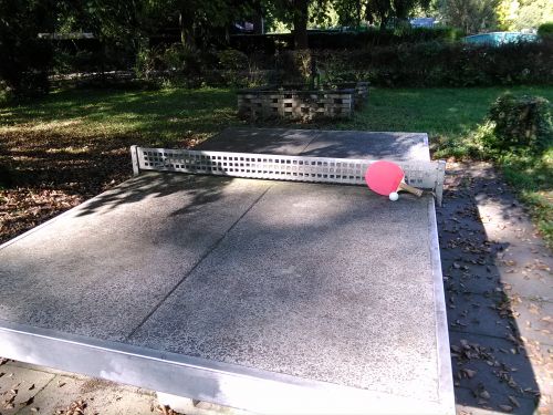 Tischtennis bei Fischerweg 13