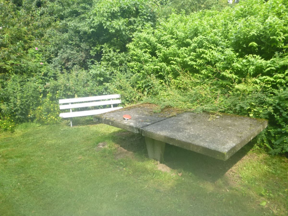 Tischtennis bei Waldweg