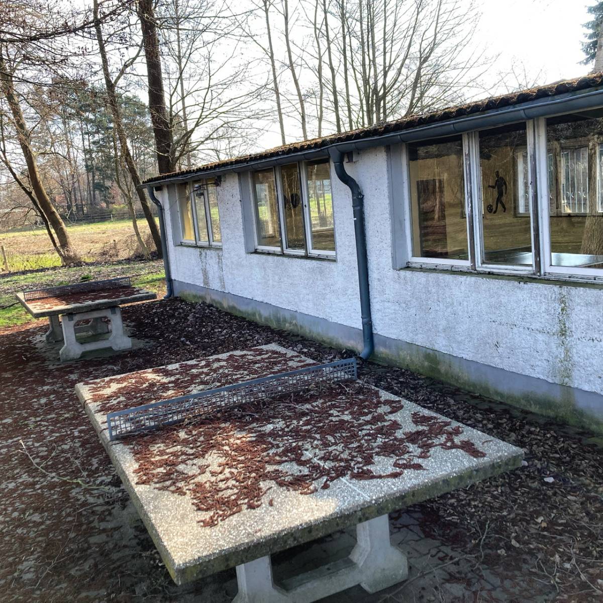 Tischtennis bei Dorfstraße