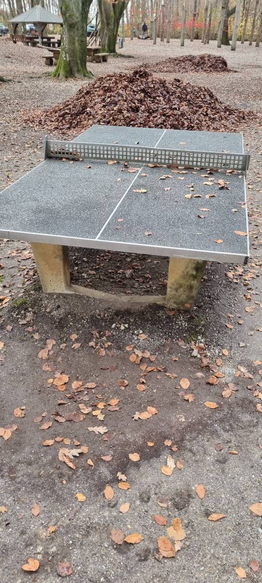 Tischtennis bei Hubertusstraße 30