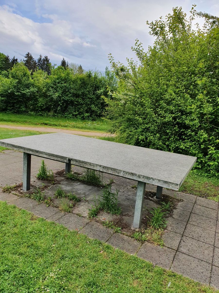 Tischtennis bei Görzer Straße