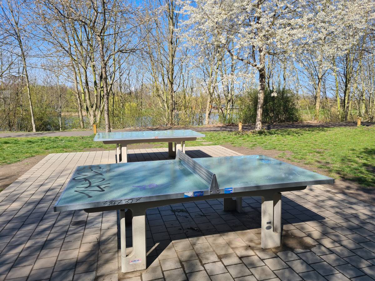 Tischtennis bei Theklaer Straße