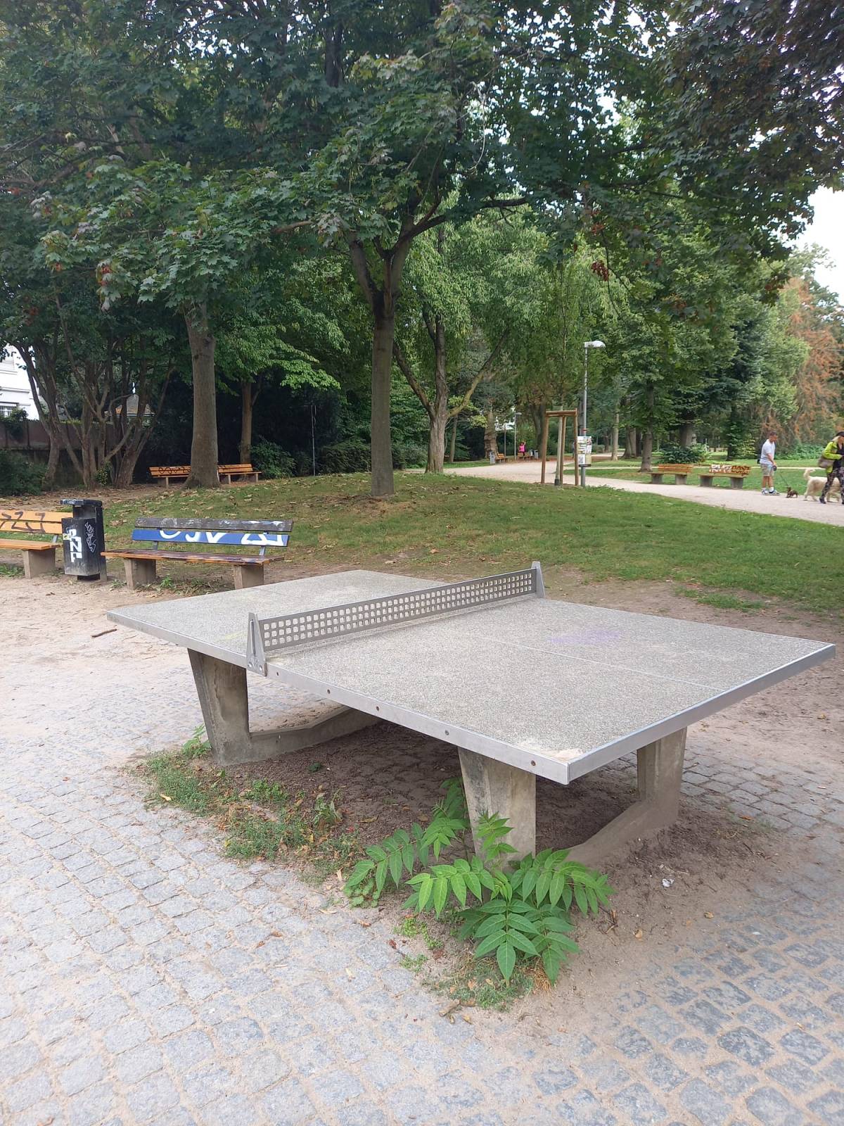 Tischtennis bei Zähringer Straße