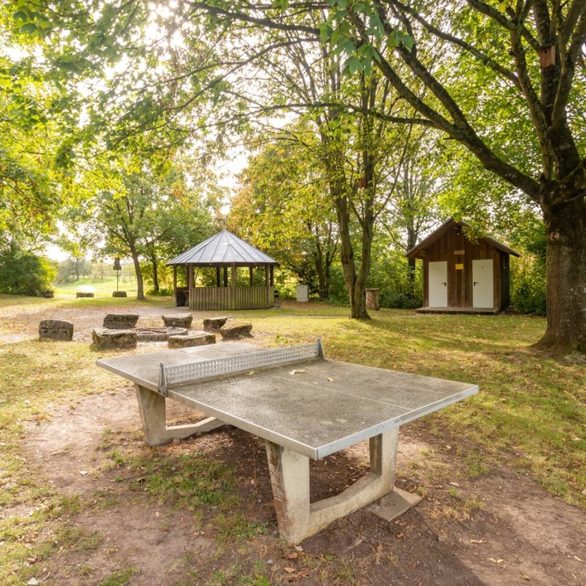 Tischtennis bei Gartenbühlstraße