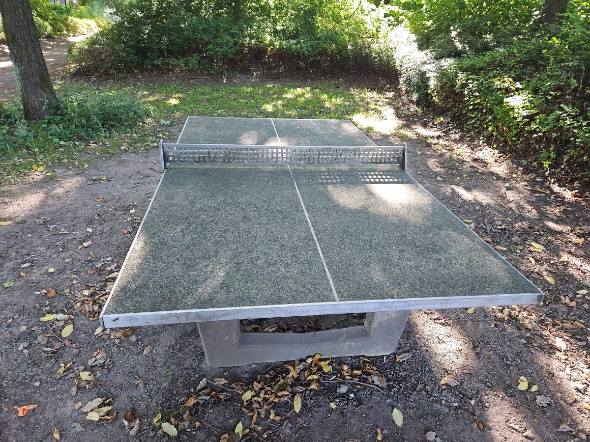Tischtennis bei Carsten-Reimers-Ring
