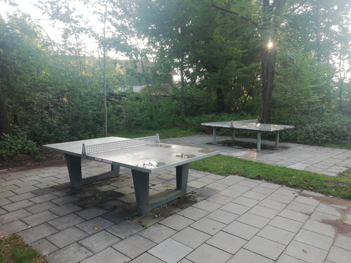 Tischtennis bei Häusermartlweg