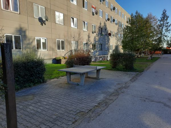 Tischtennis bei Hintermeierstraße