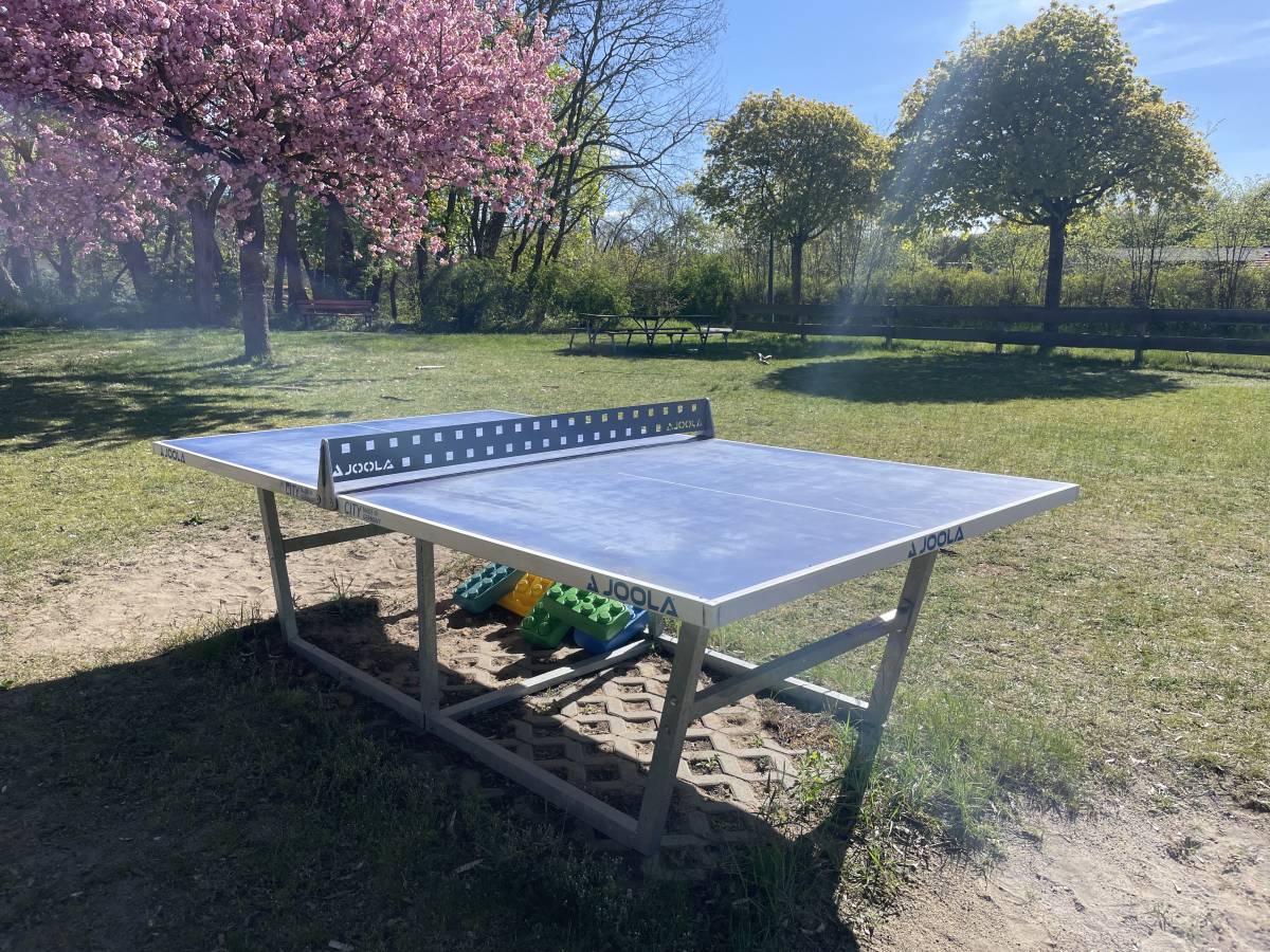 Tischtennis bei Auf dem Sande