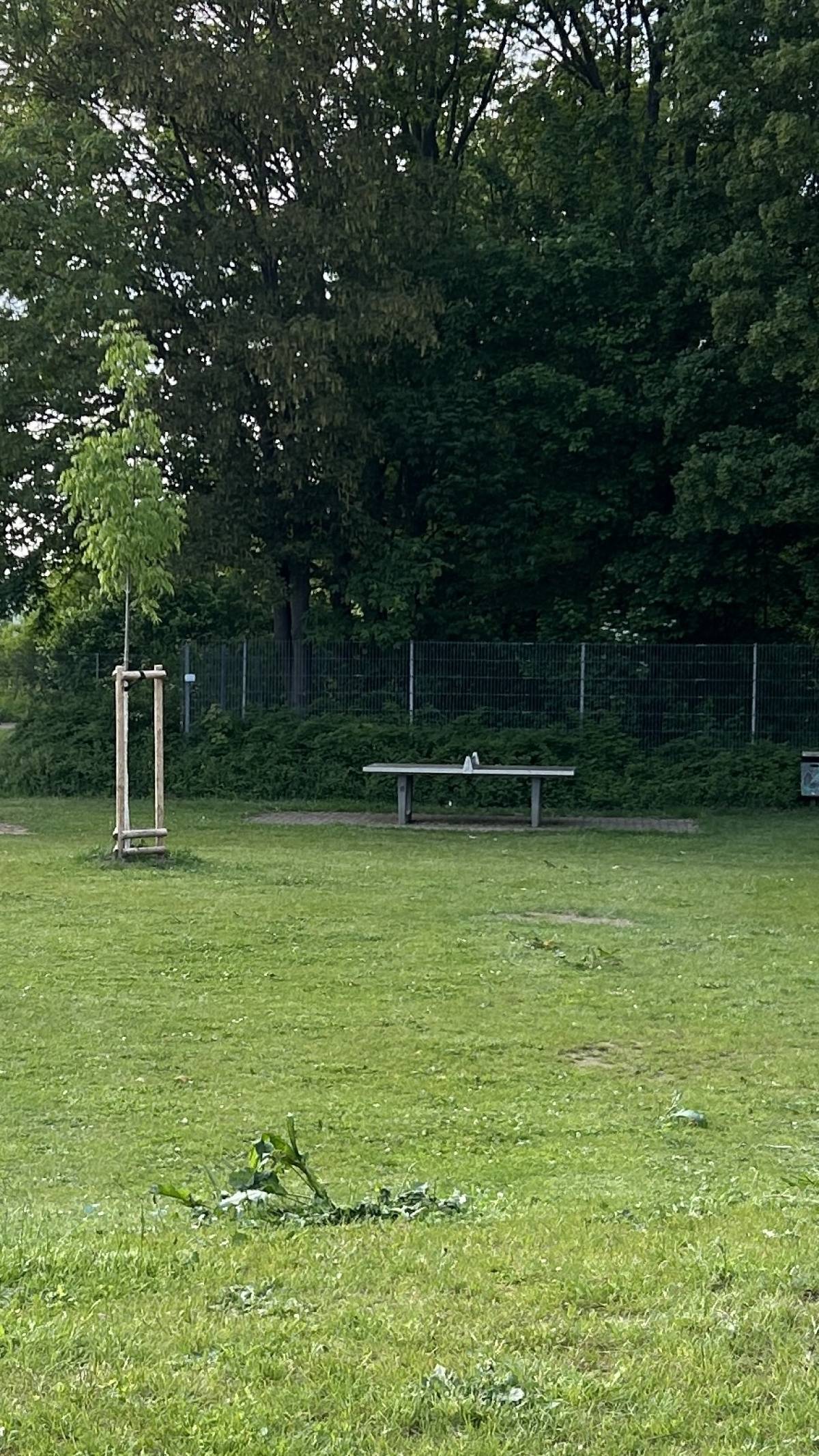 Tischtennis bei Schneidemühler Straße