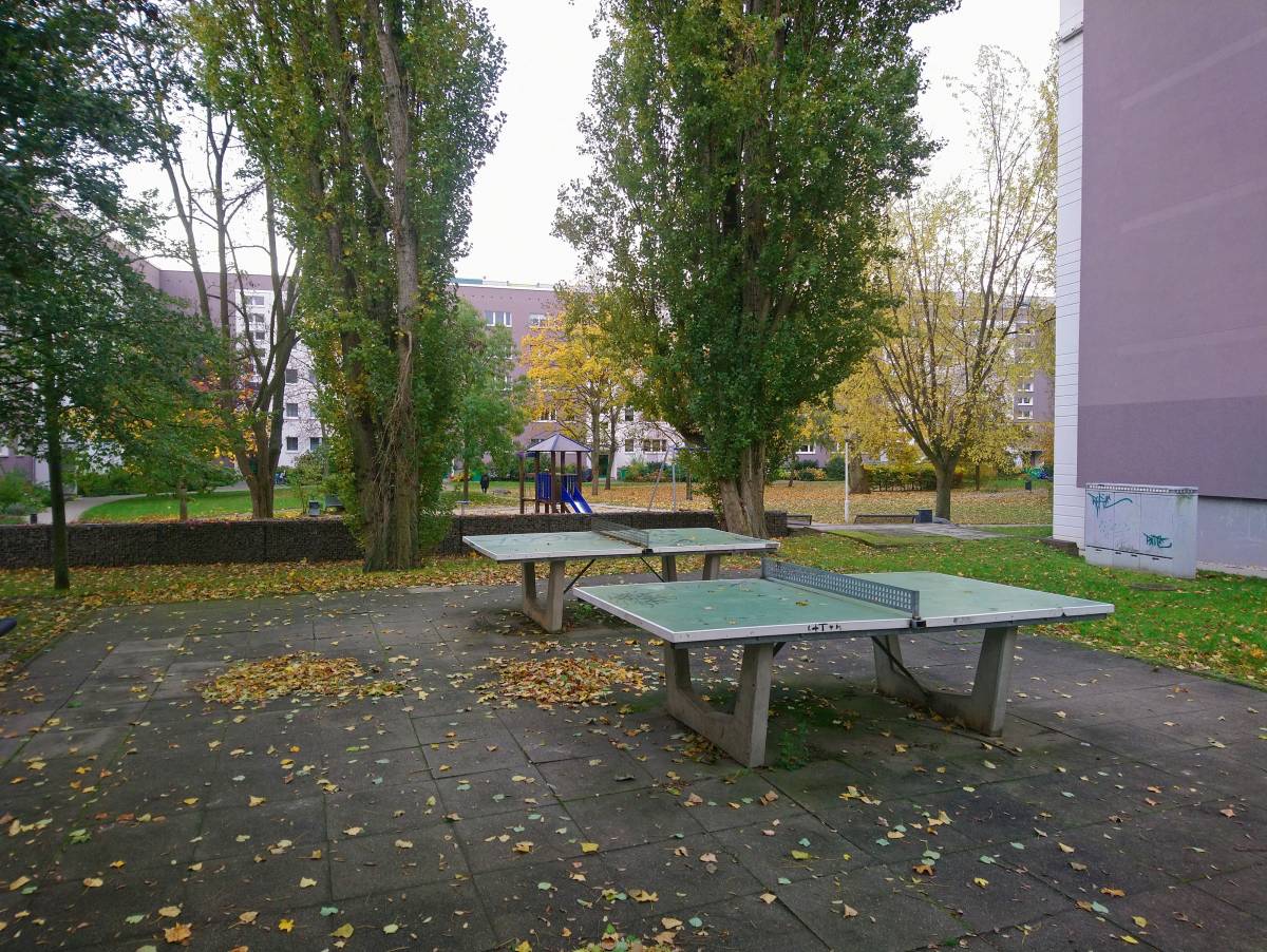 Tischtennis bei Scheibenbergstraße