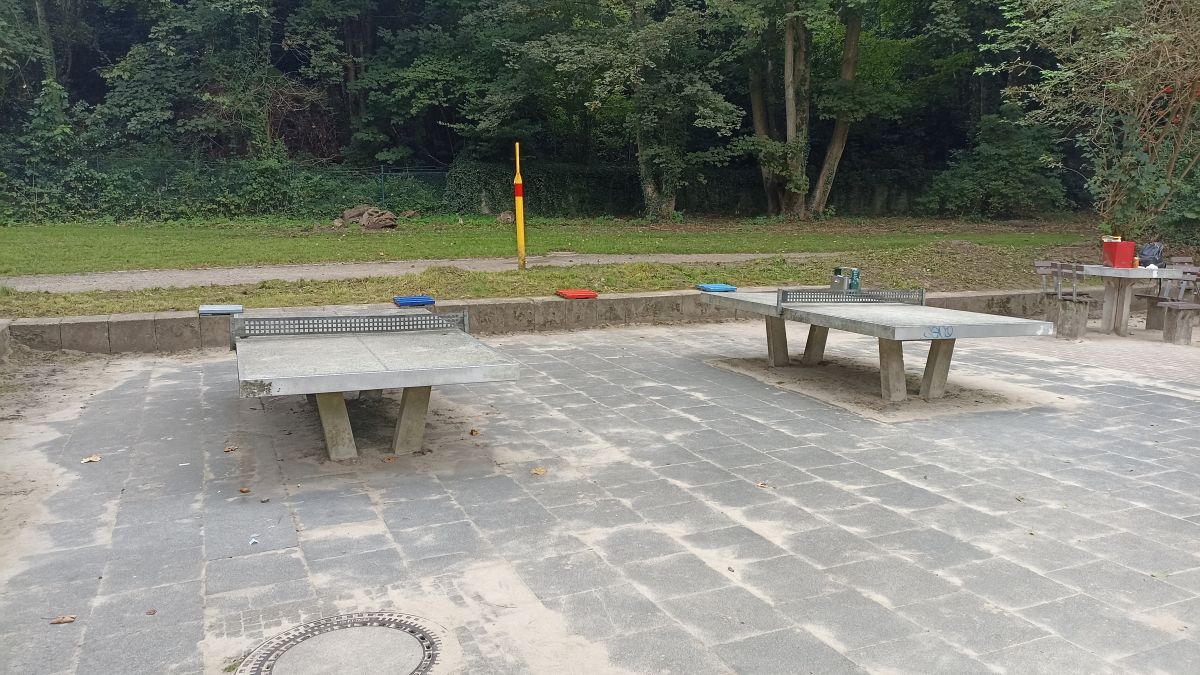 Tischtennis bei Am Hammerteich