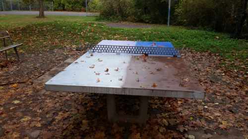 Tischtennis bei Fuchsgrund
