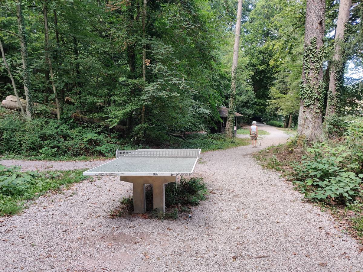Tischtennis bei Dr.-Groddeck-Weg