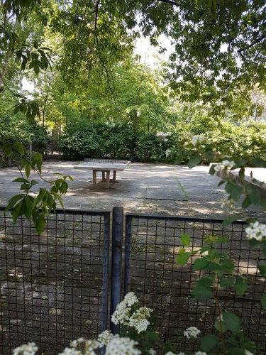 Tischtennis bei Schwarzmeerstraße 50