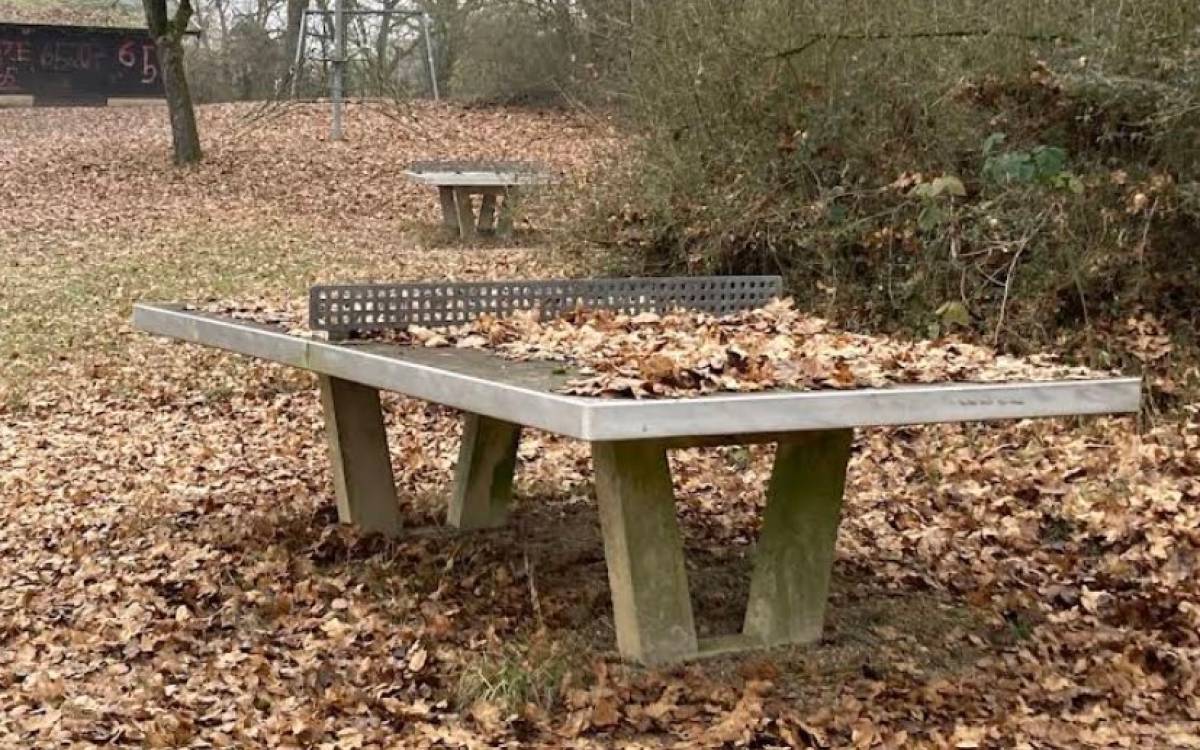 Tischtennis bei Hockenberger Höhe