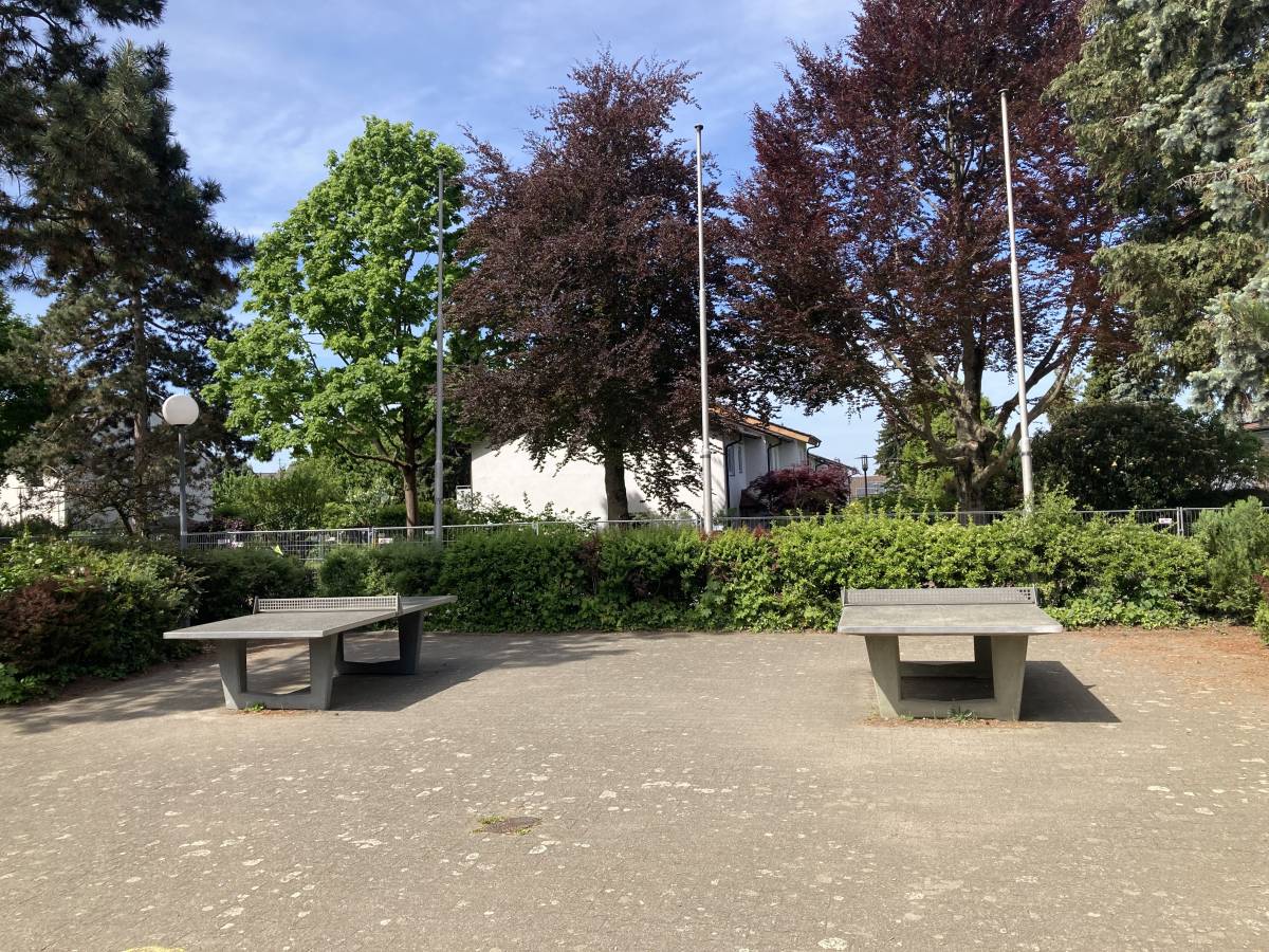 Tischtennis bei Pestalozzistraße