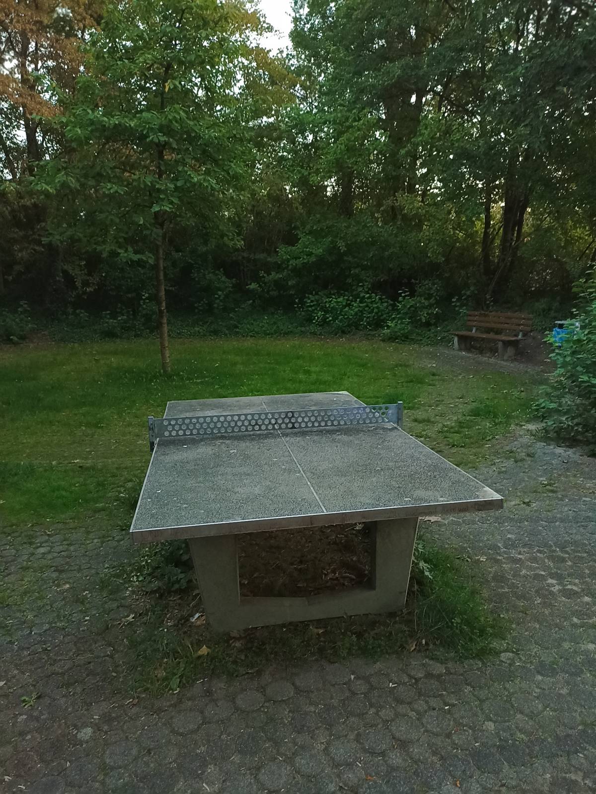 Tischtennis bei Zuckmayerweg
