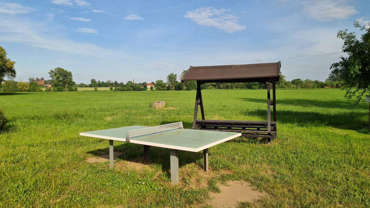 Tischtennis bei Selleris