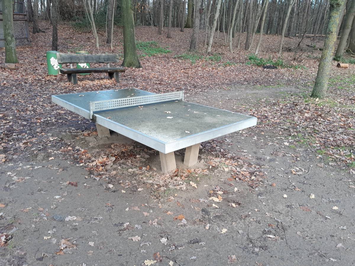 Tischtennis bei Im Tannenbusch
