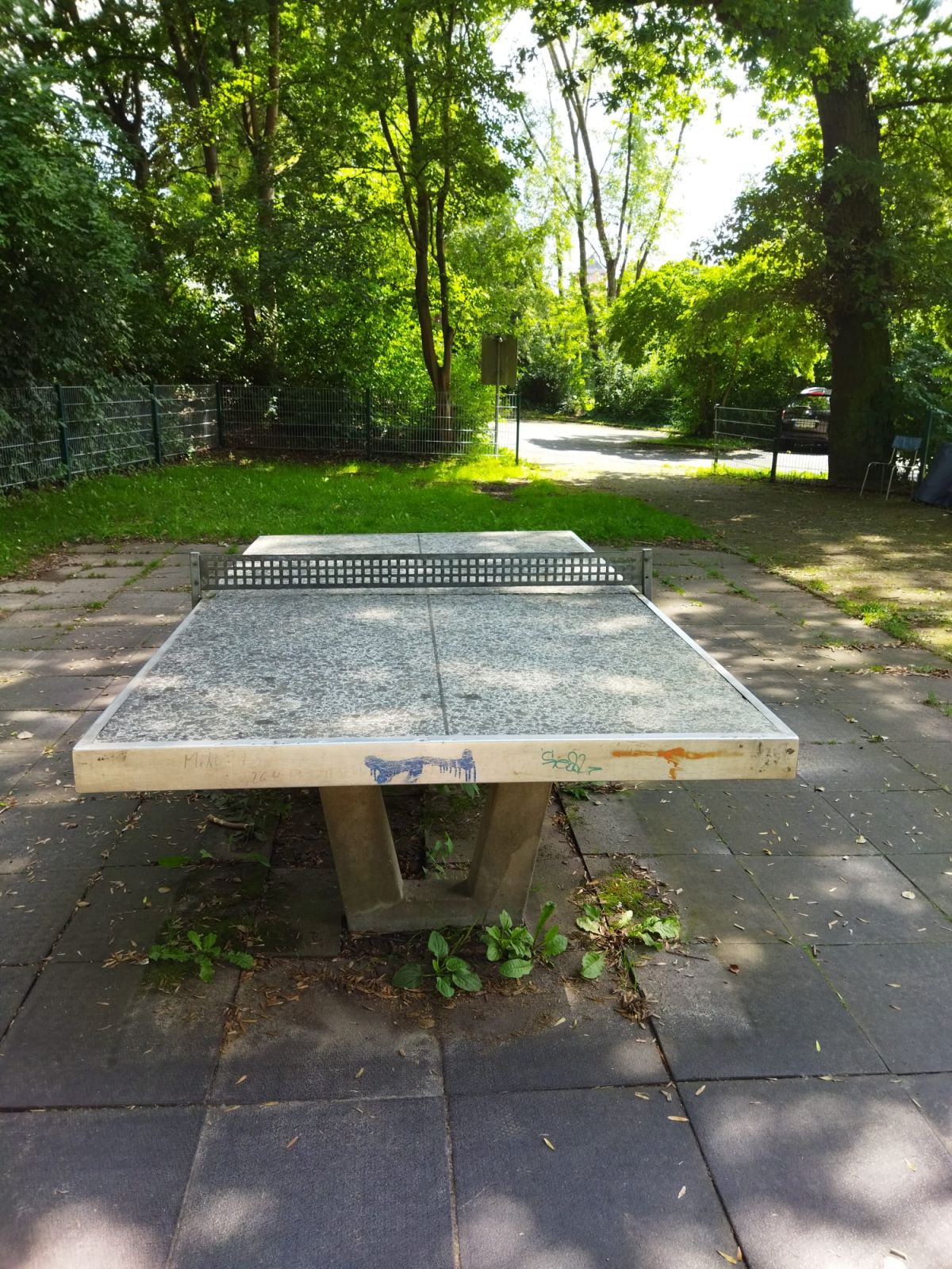 Tischtennis bei Afföllerwiesen