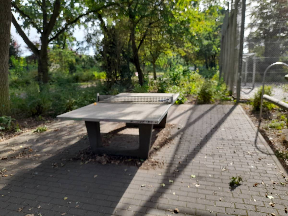 Tischtennis bei Fretzdorfer Weg