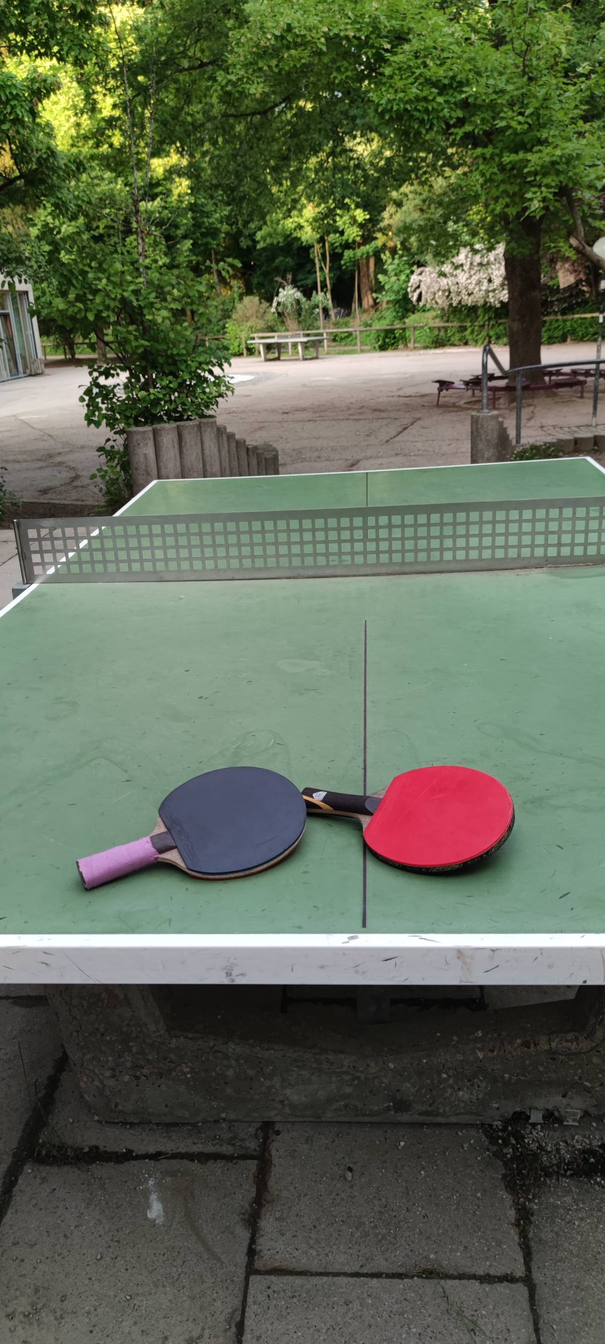 Tischtennis bei Weidenweg