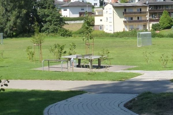 Tischtennis bei In der Stelzbach