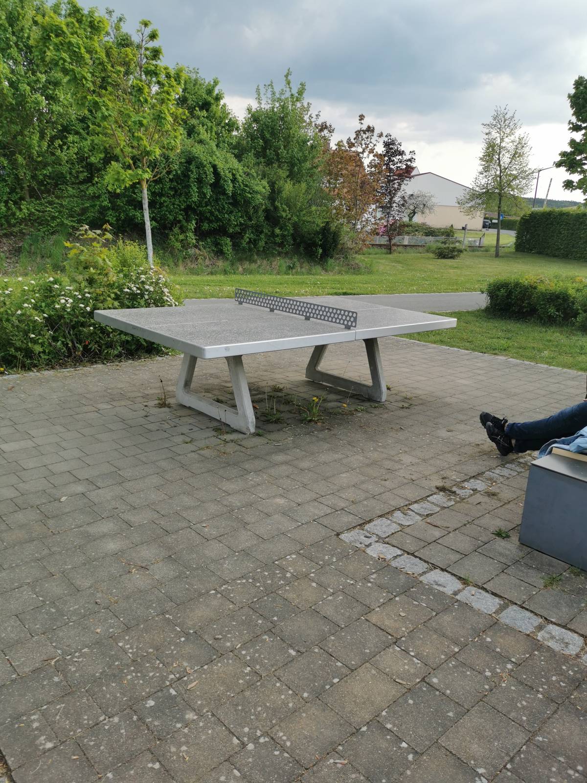Tischtennis bei Tischtennisplatte #16332