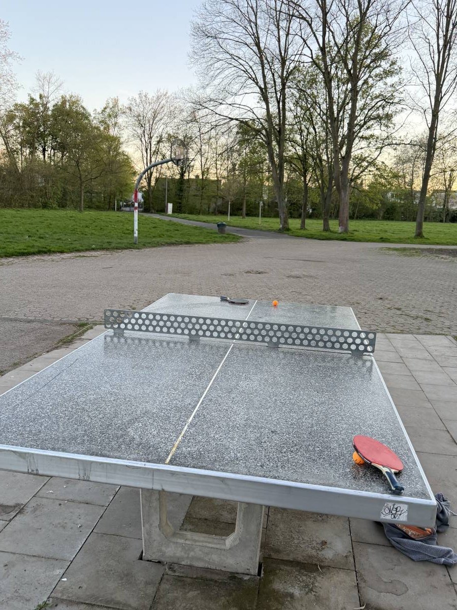 Tischtennis bei Bachstelzenweg