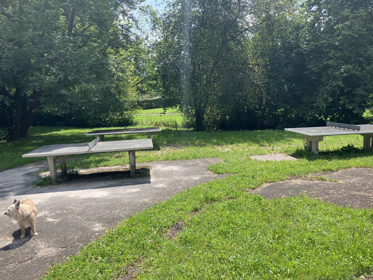 Tischtennis bei Eschenriedstraße