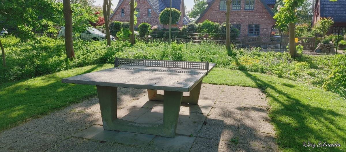 Tischtennis bei Senwai
