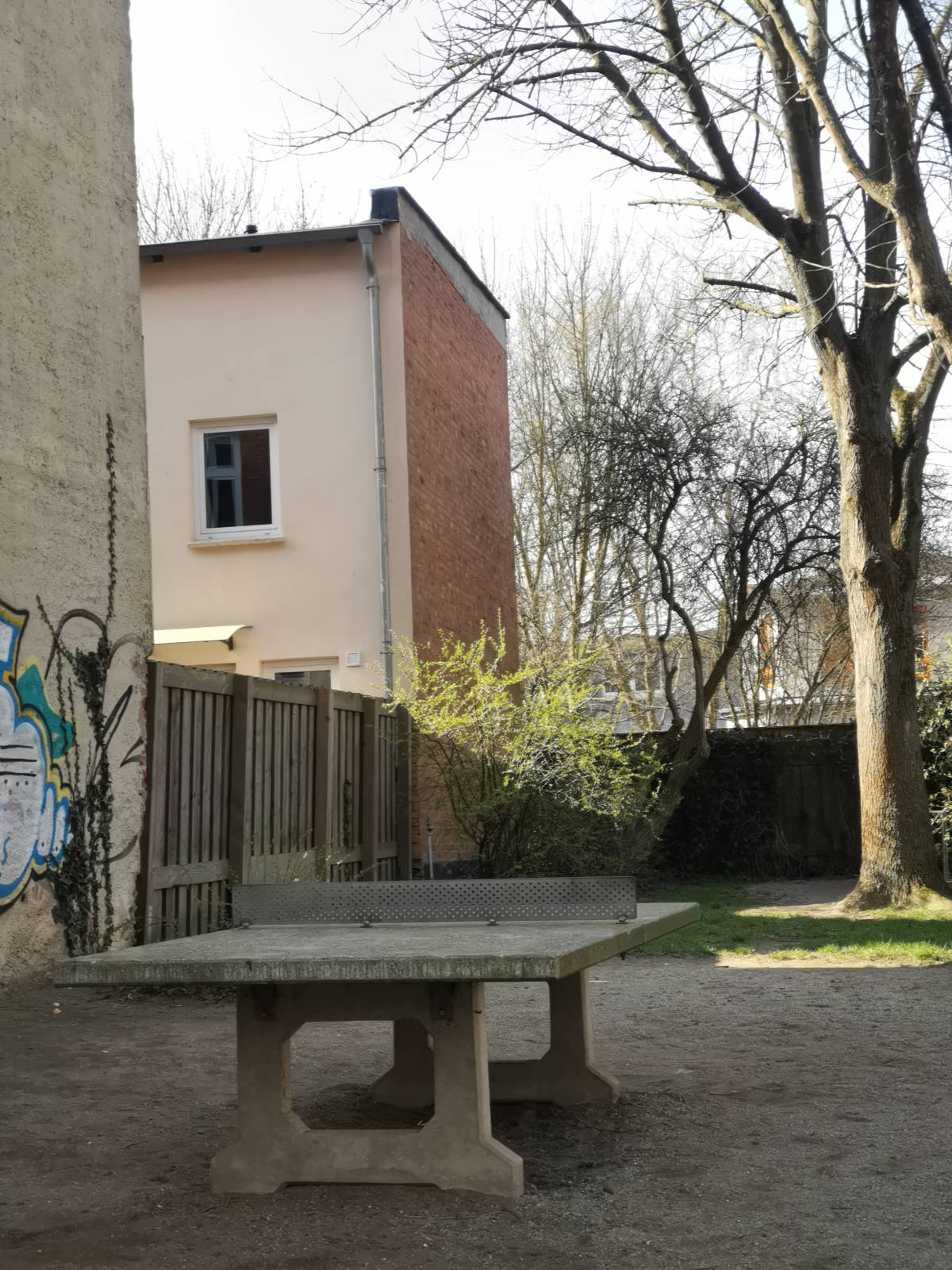 Tischtennis bei Neustadt