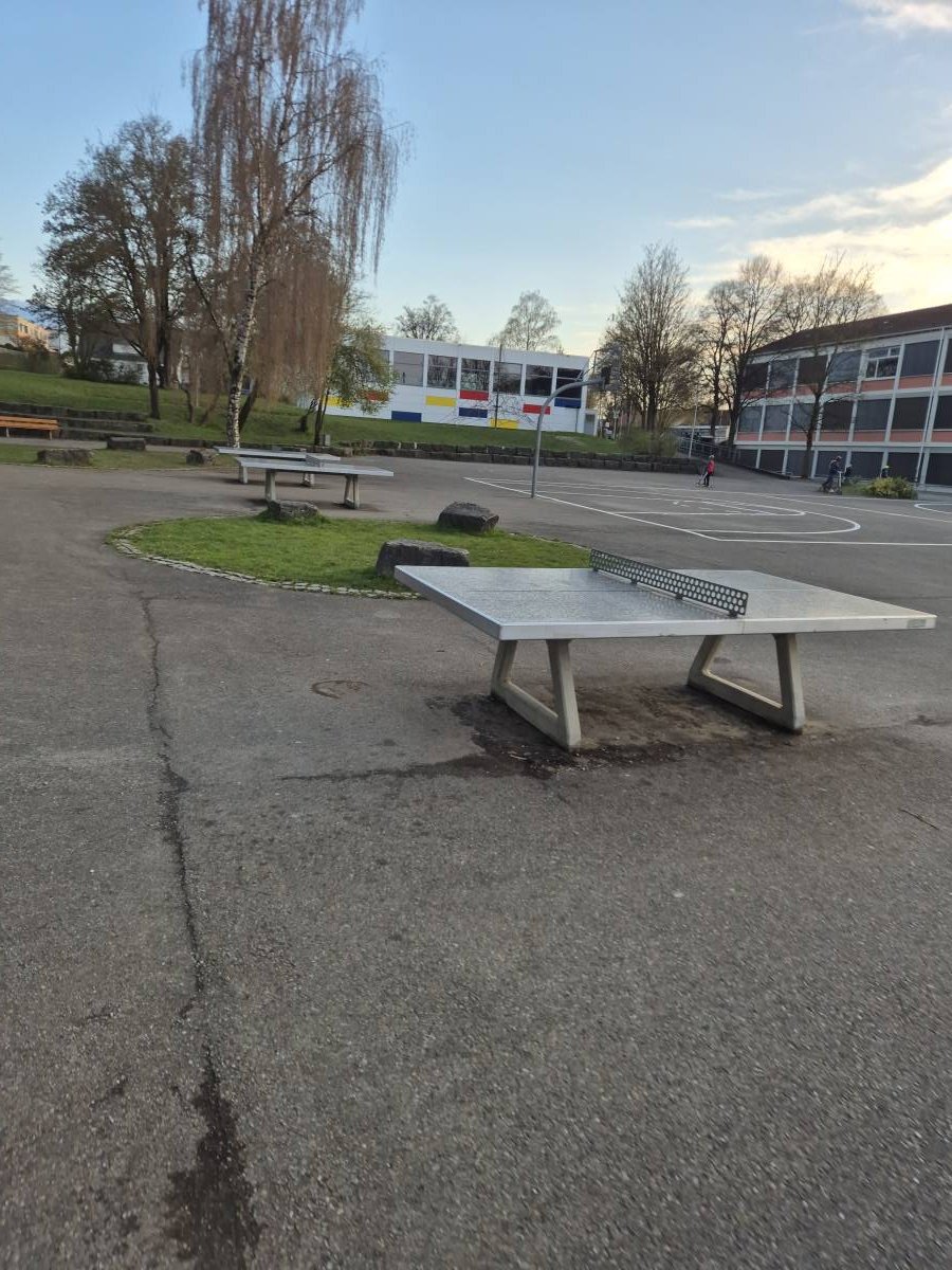 Tischtennis bei Scheerstraße