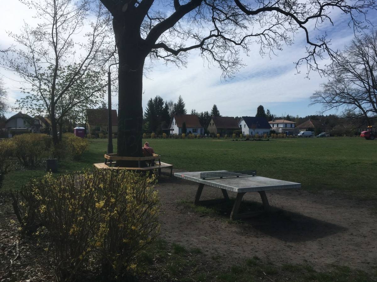 Tischtennis bei Meisterweg
