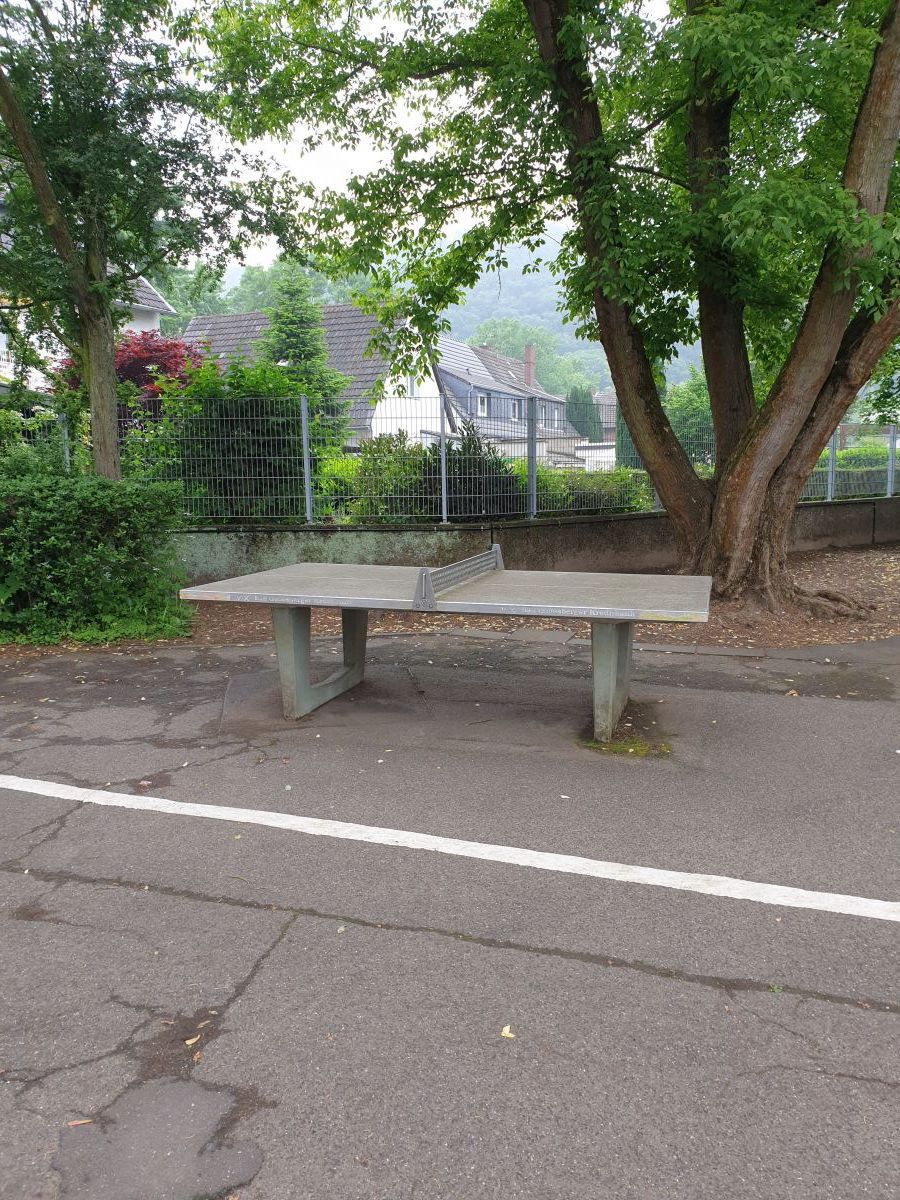 Tischtennis bei Am Woltersweiher