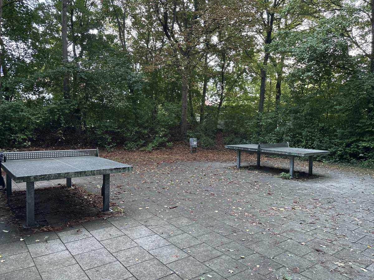 Tischtennis bei Am Moosfeld