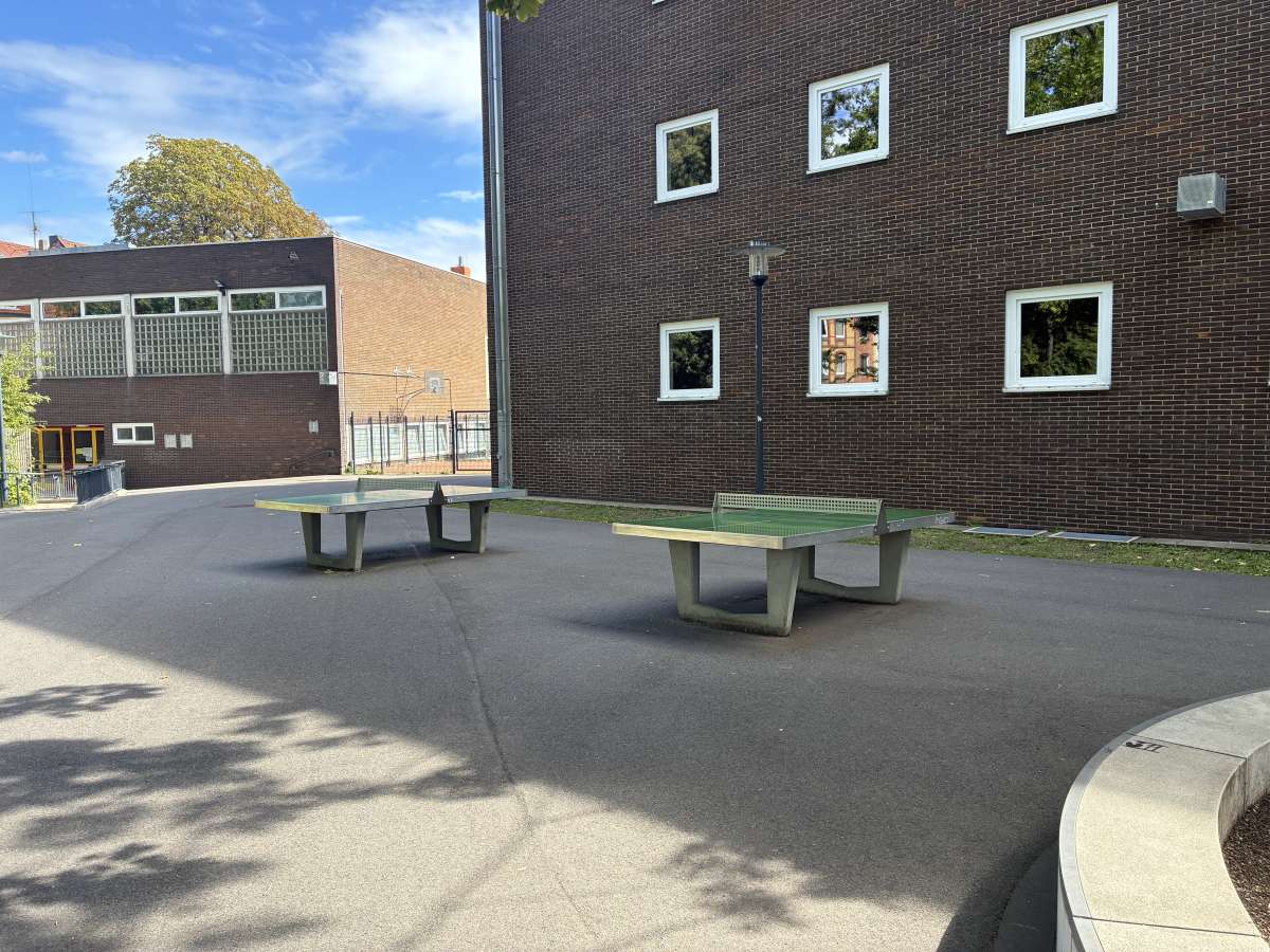Tischtennis bei Steingrube