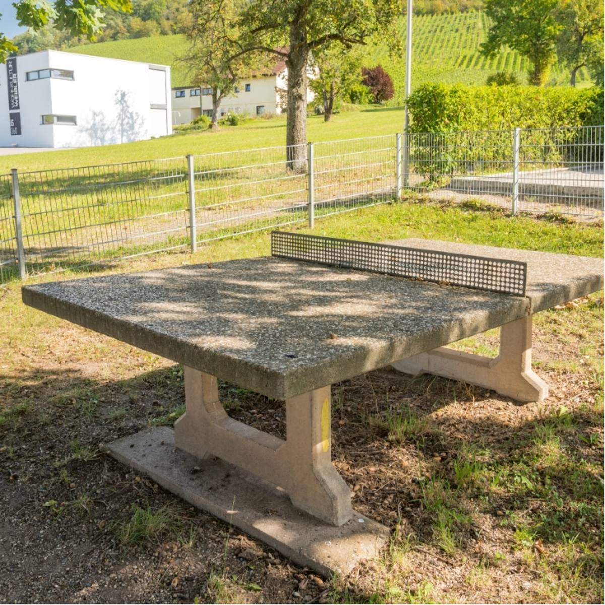 Tischtennis bei Lindelbergstraße