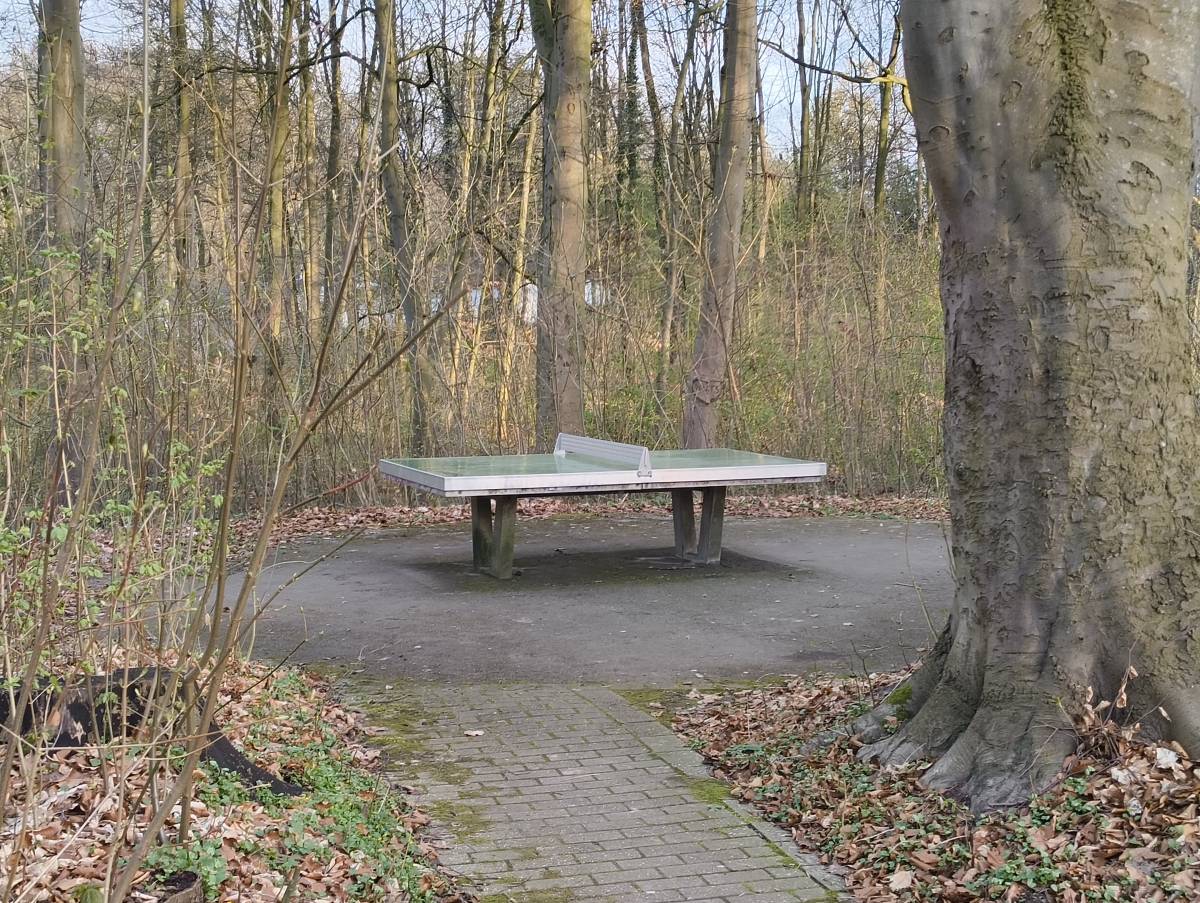 Tischtennis bei Echeloh