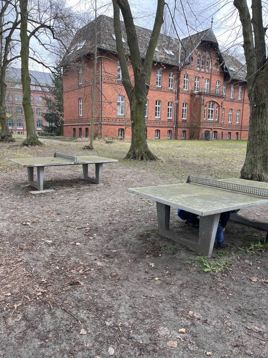 Tischtennis bei Hermannswerder