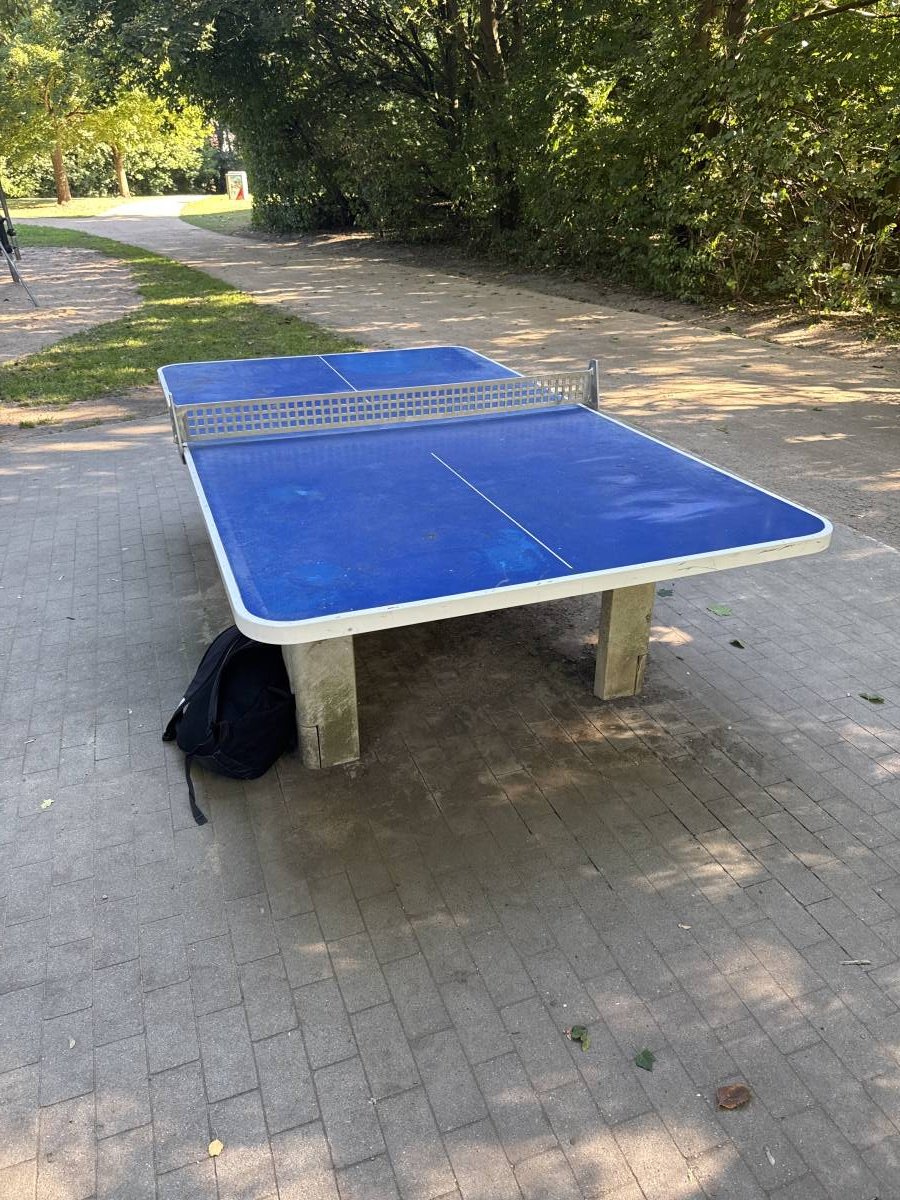 Tischtennis bei Marta-Damkowski-Kehre