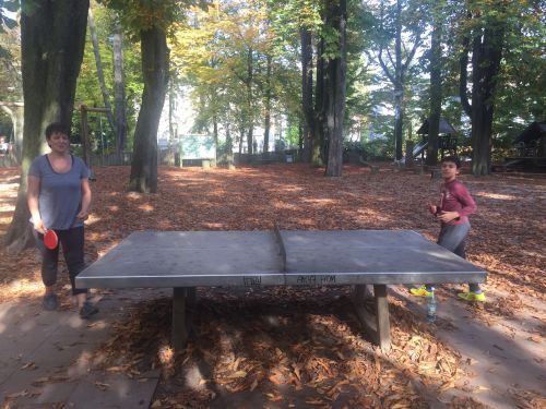 Tischtennis bei Dreieichring 8