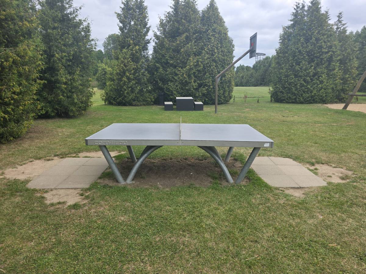 Tischtennis bei Pelzerhakener Straße