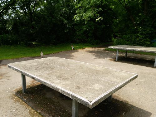 Tischtennis bei Jahnstraße 10