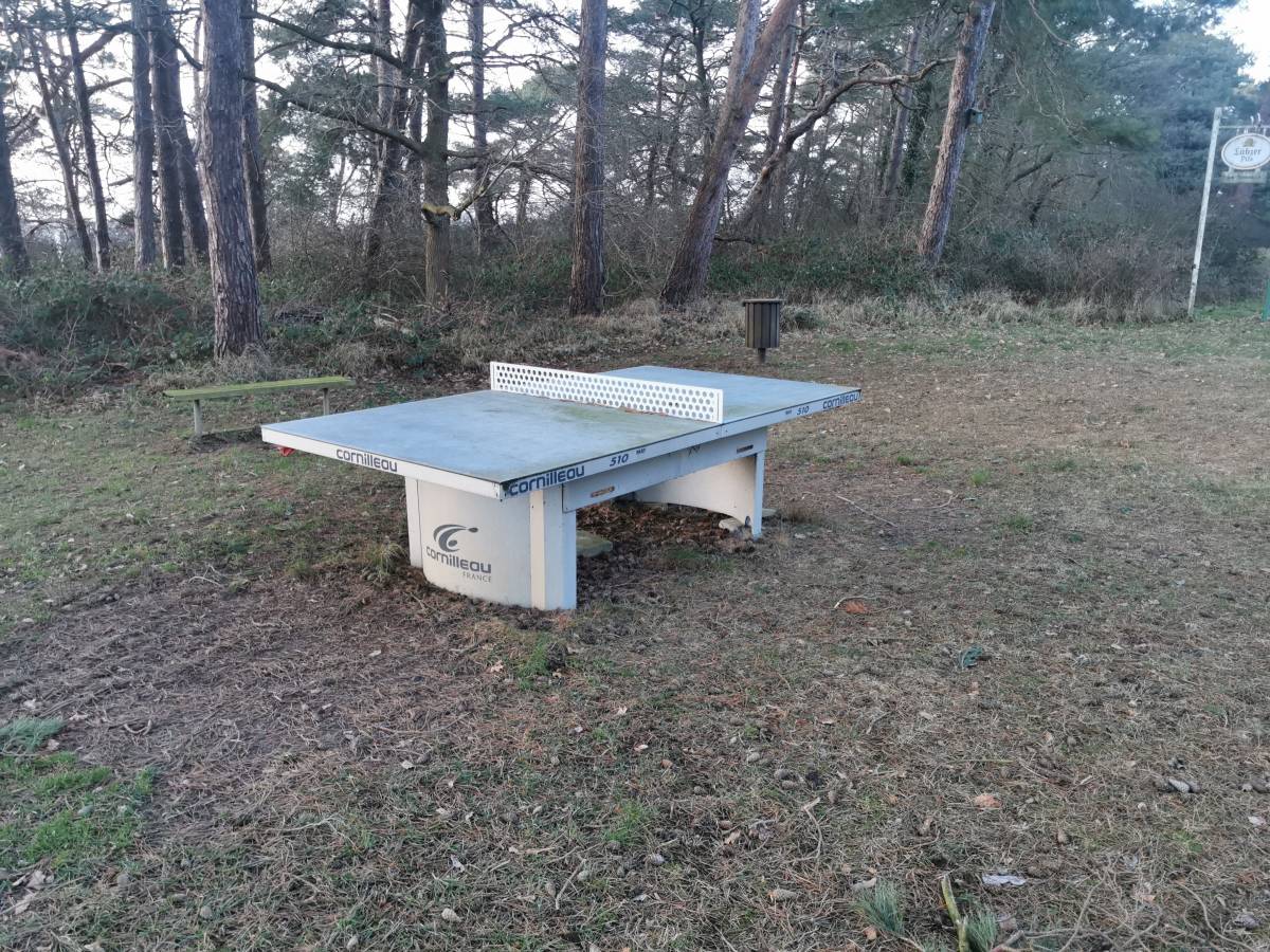 Tischtennis bei Strandweg