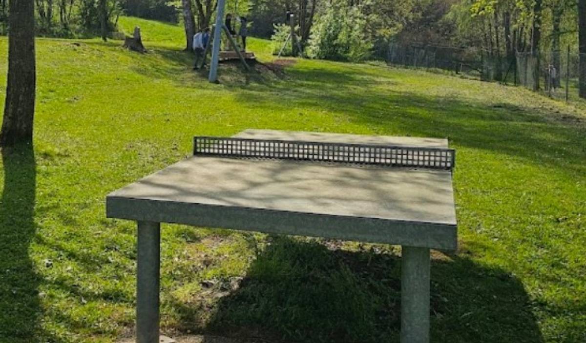 Tischtennis bei Rothölzlesweg