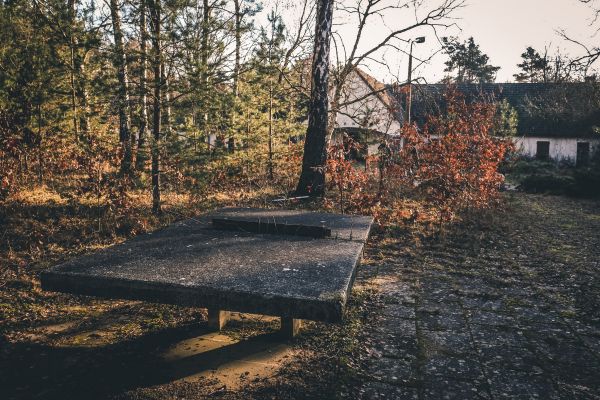 Tischtennis bei Platz der Freundschaft