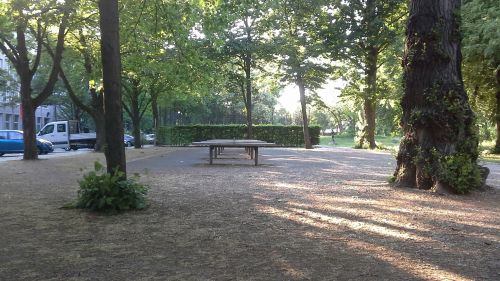 Tischtennis bei Am Karlsbad
