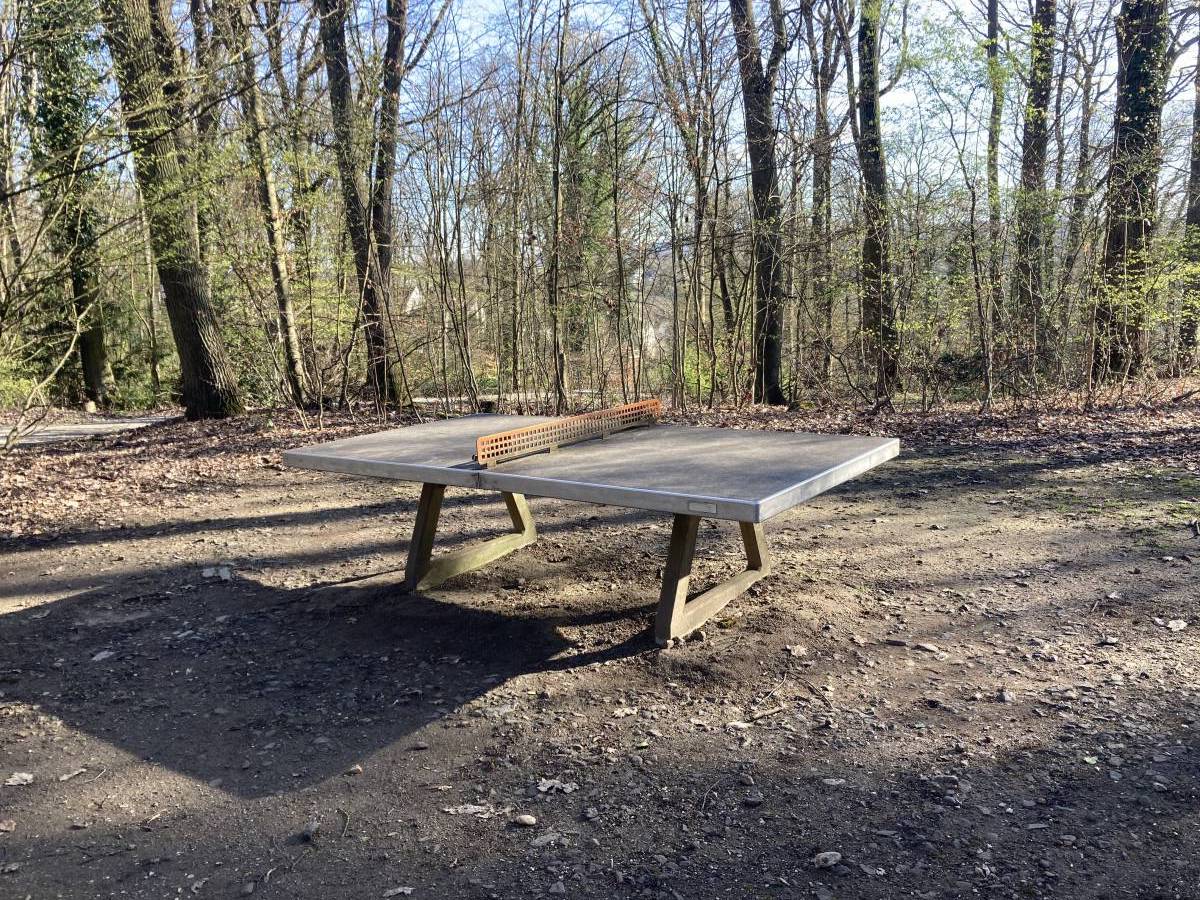 Tischtennis bei Lindenallee