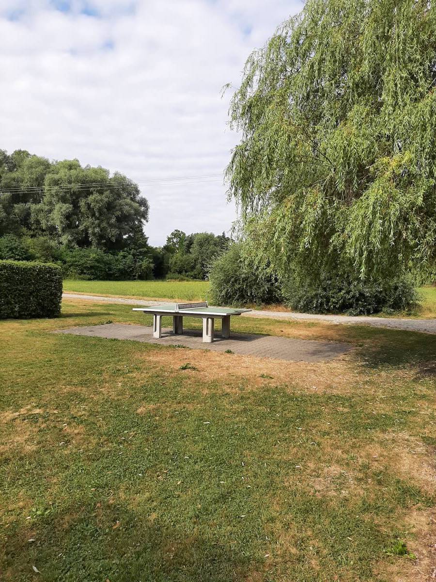 Tischtennis bei Dr.-Lecheler-Straße